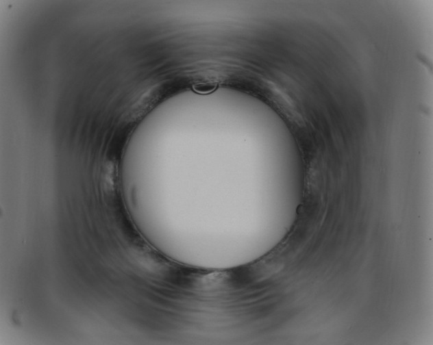 X0000097490122200803071748