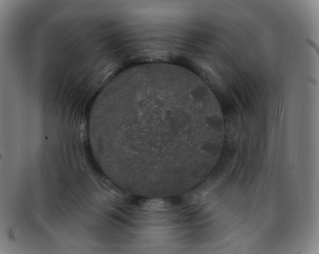 X0000097490123200803071748