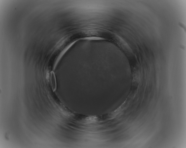 X0000097490124200803071748