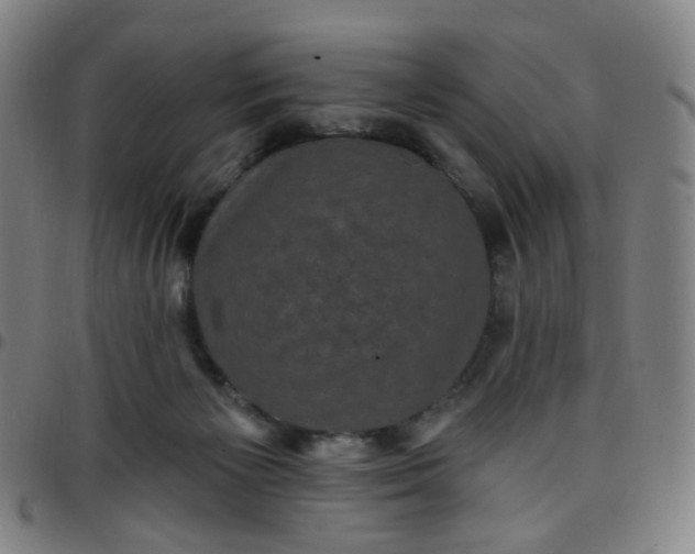 X0000097490125200803071748