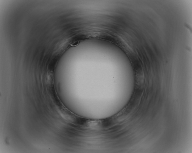 X0000097490126200803071748