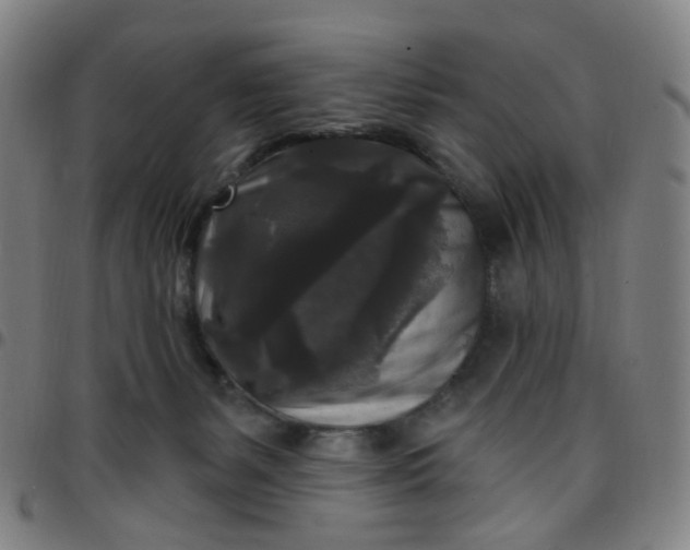 X0000097490127200803071748