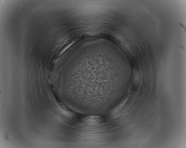 X0000097490128200803071748