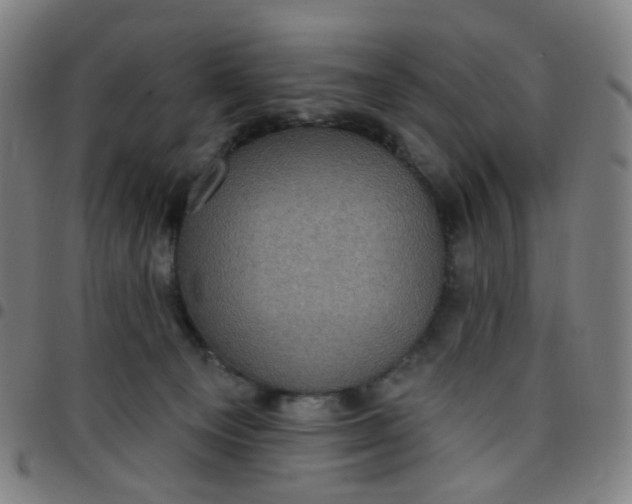 X0000097490129200803071748