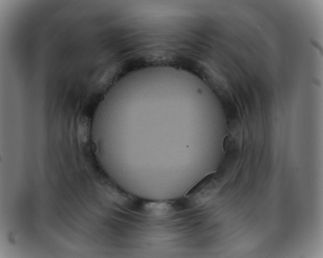 X0000097490133200803071748