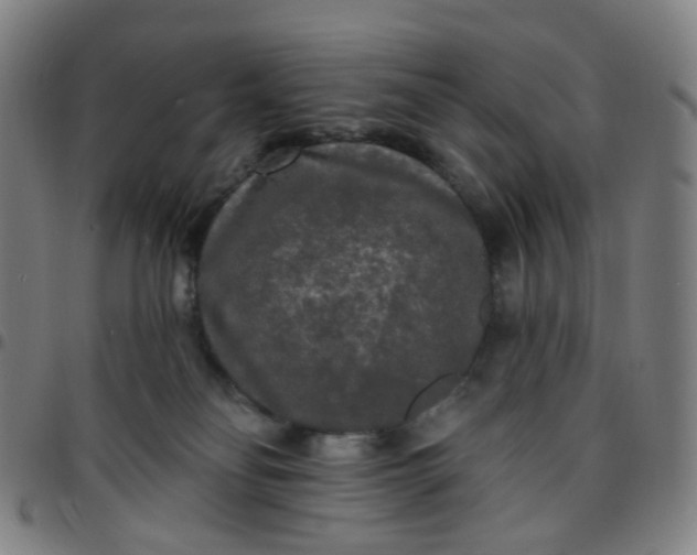 X0000097490134200803071748