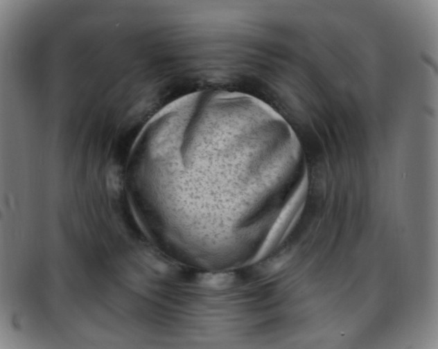 X0000097490135200803071748