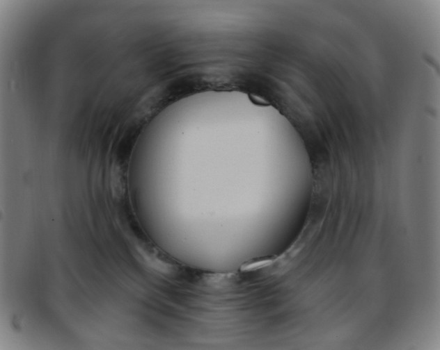 X0000097490136200803071748