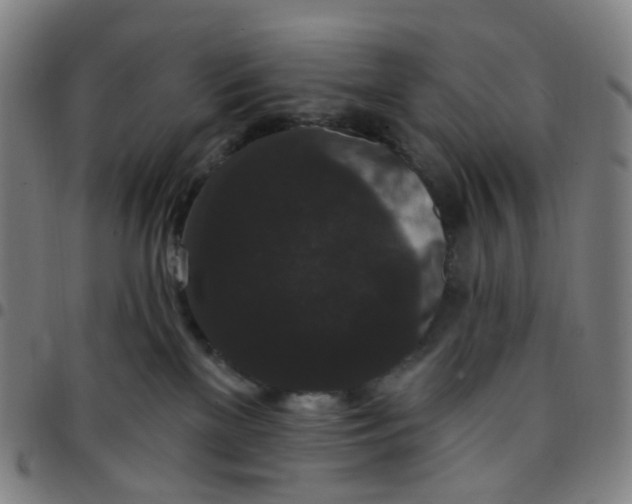 X0000097490137200803071748