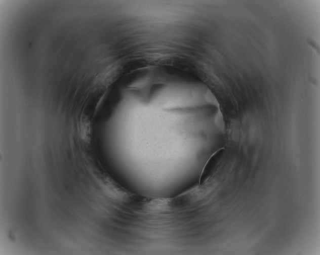 X0000097490138200803071748