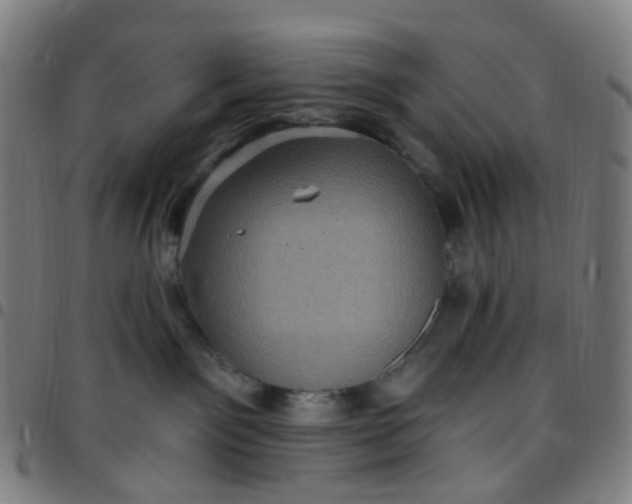 X0000097490141200803071747