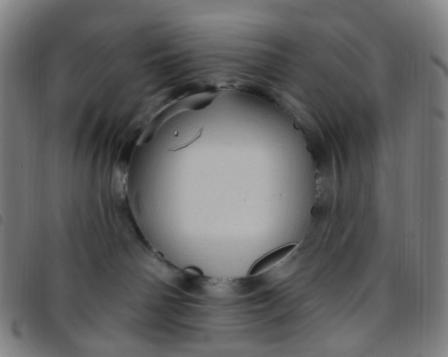 X0000097490142200803071747