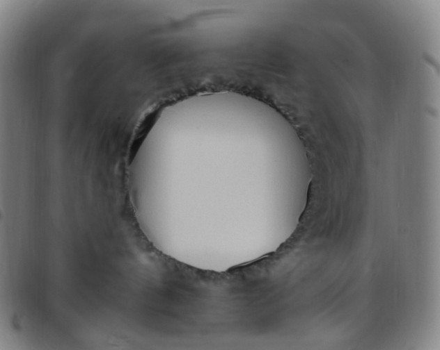 X0000097490144200803071747