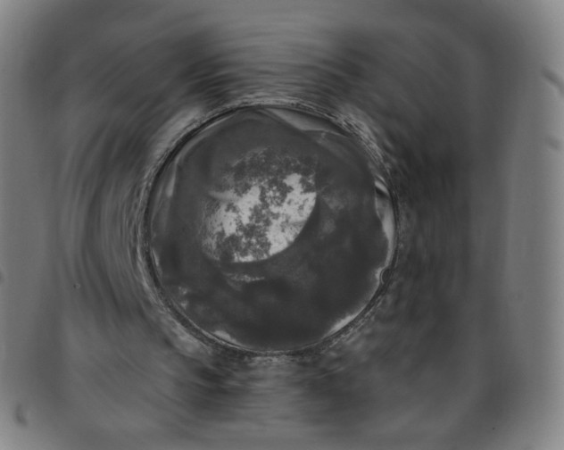 X0000097490145200803071747