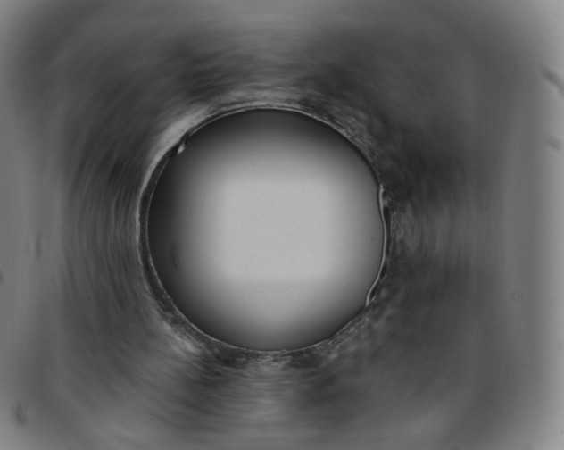 X0000097490148200803071747