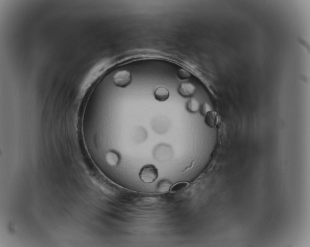 X0000097490151200803071747