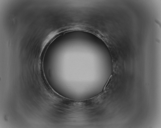 X0000097490152200803071747