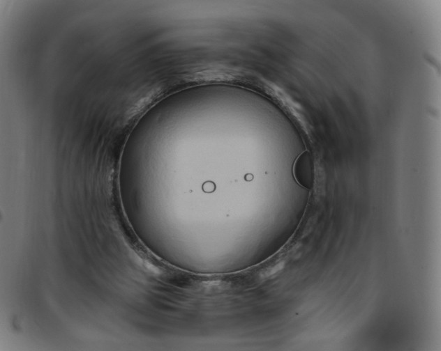 X0000097490153200803071747