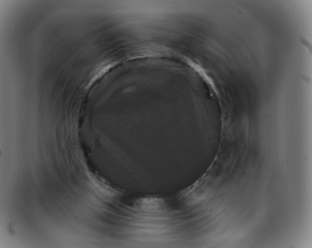 X0000097490154200803071747