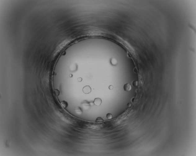 X0000097490155200803071747