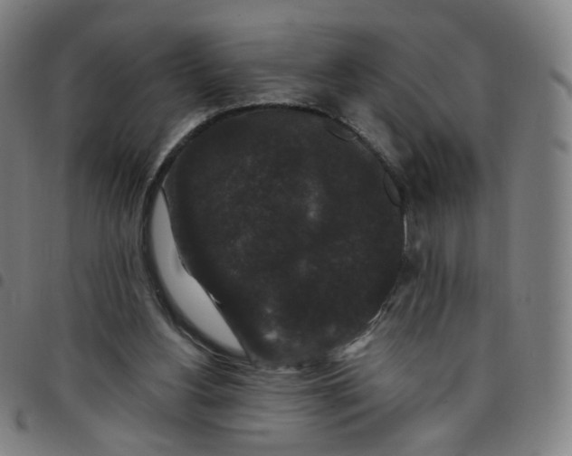 X0000097490156200803071747