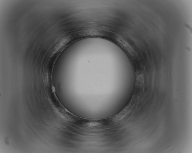 X0000097490158200803071747