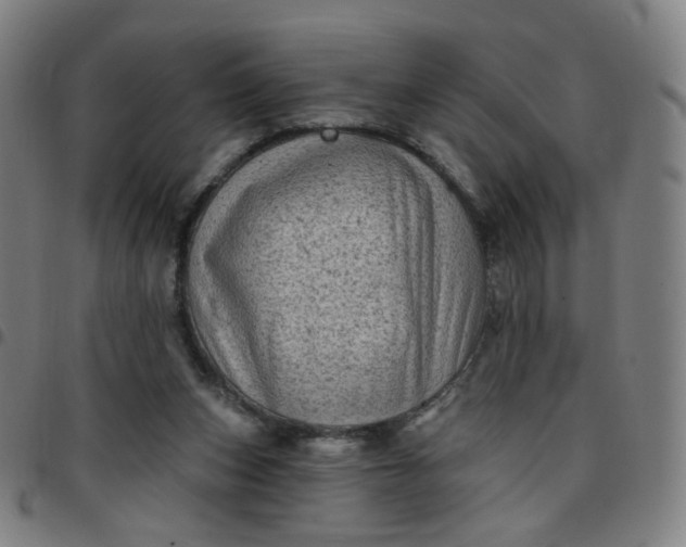 X0000097490159200803071747