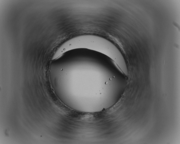 X0000097490162200803071747