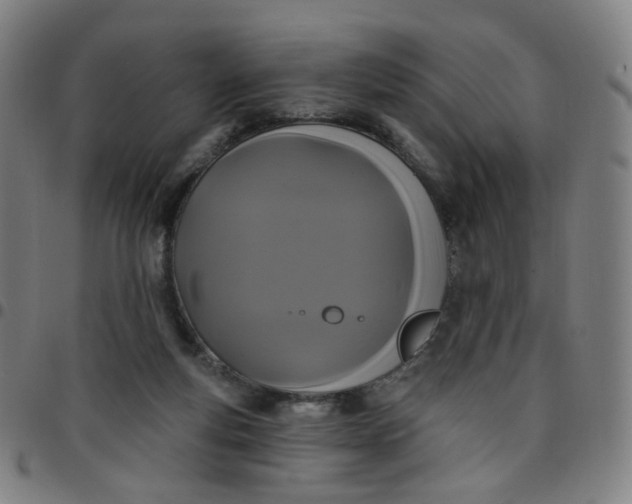 X0000097490163200803071747