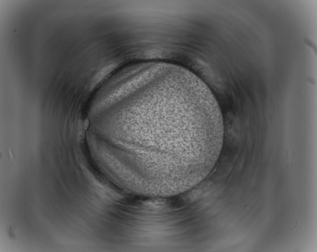 X0000097490164200803071747