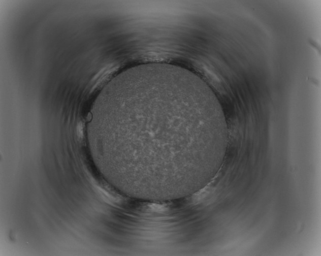 X0000097490166200803071747