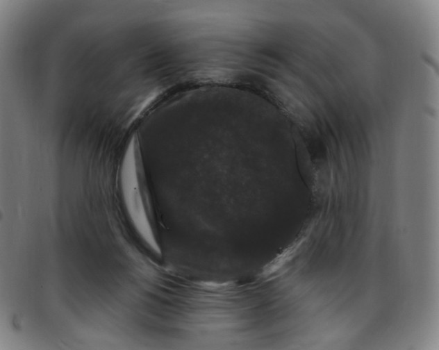 X0000097490168200803071747