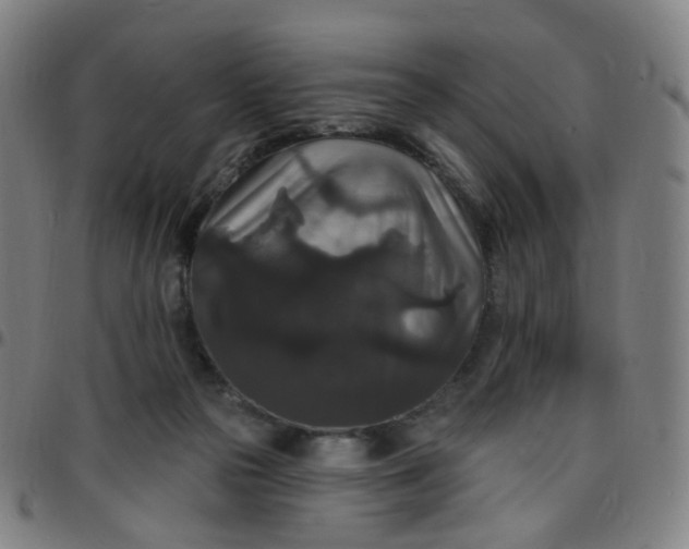 X0000097490169200803071747