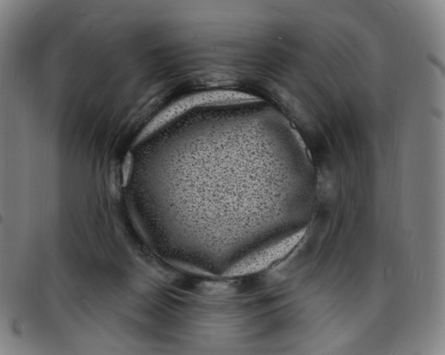 X0000097490170200803071747