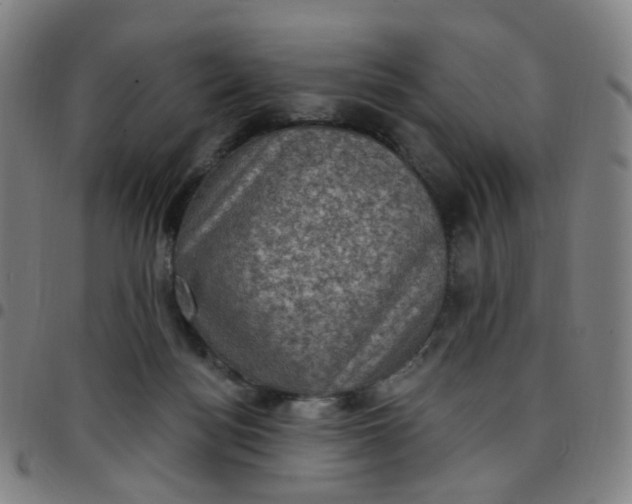 X0000097490172200803071747