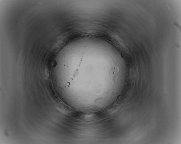 X0000097490173200803071747