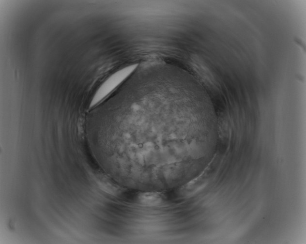 X0000097490175200803071747