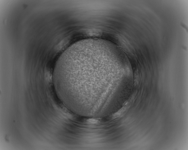 X0000097490176200803071747