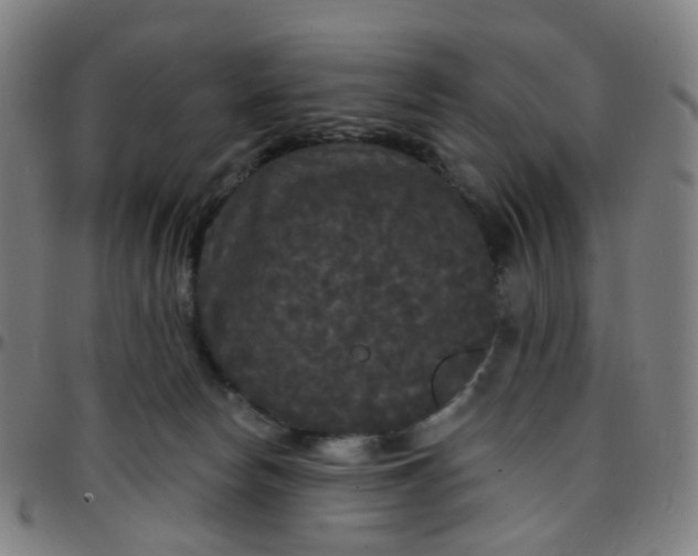 X0000097490178200803071747