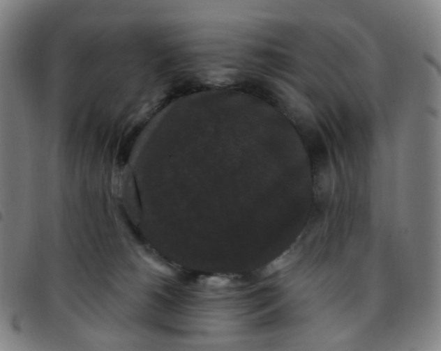 X0000097490180200803071747