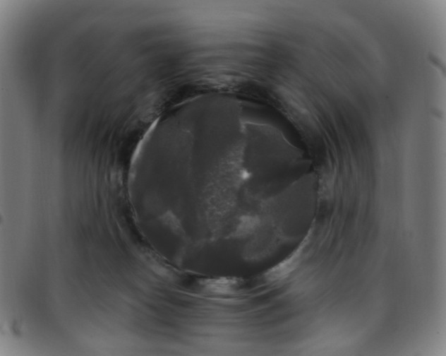 X0000097490182200803071747