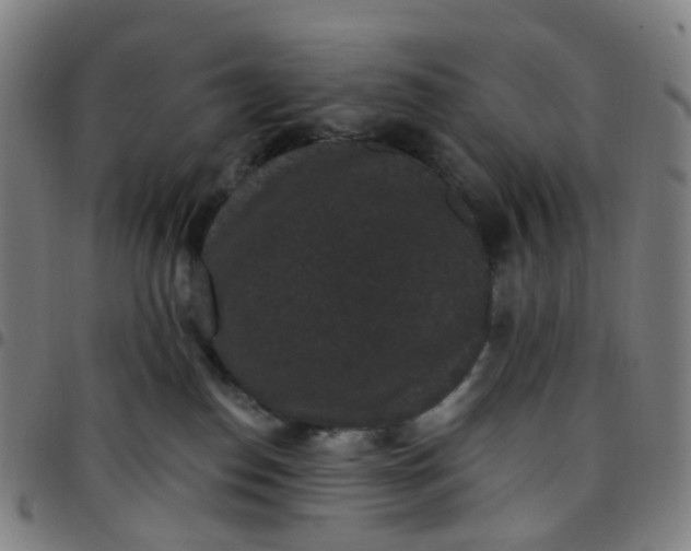 X0000097490186200803071747