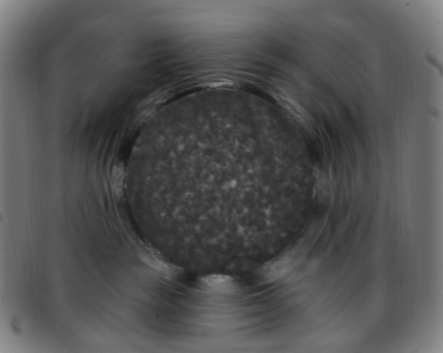 X0000097490189200803071747