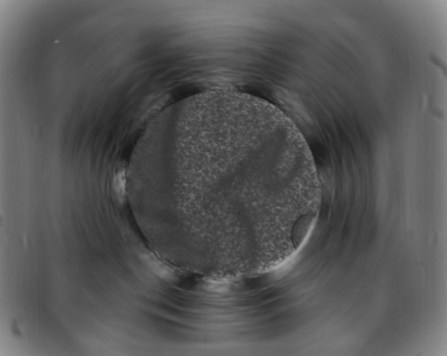 X0000097490190200803071747