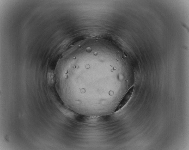 X0000097490191200803071747