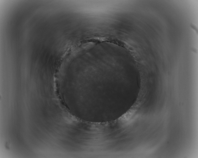 X0000097490192200803071747