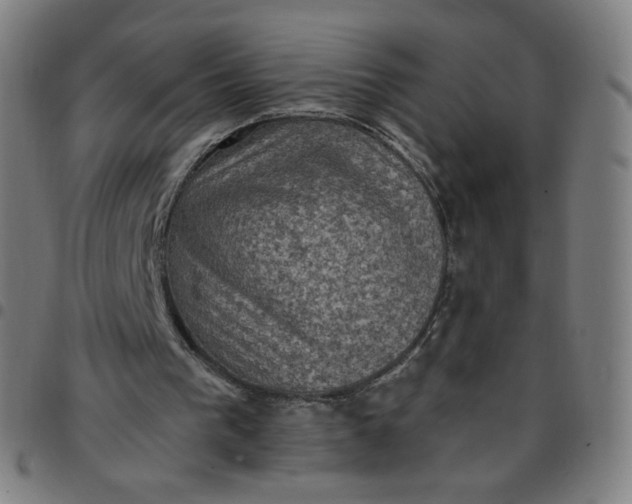 X0000097490193200803071747