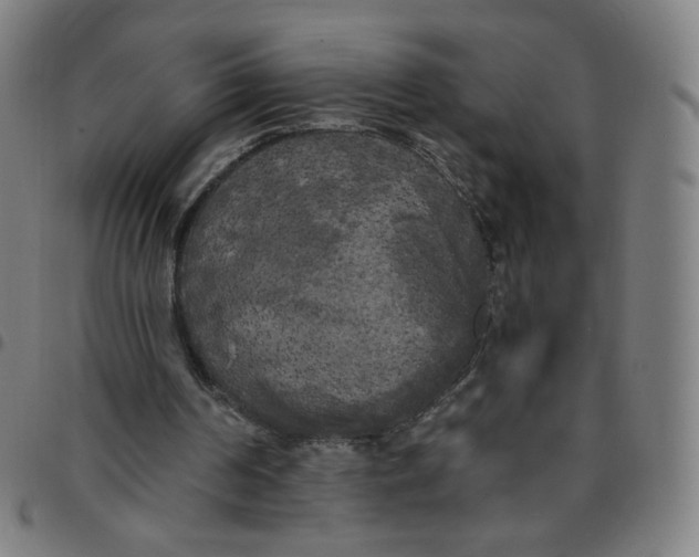 X0000097490194200803071747