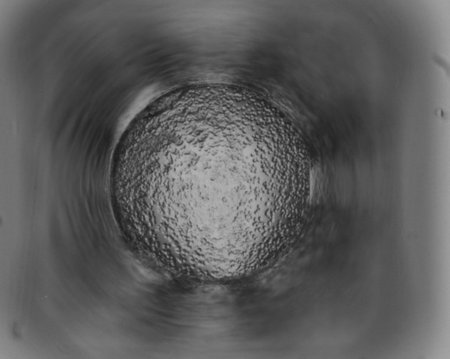 X0000097490195200803071747