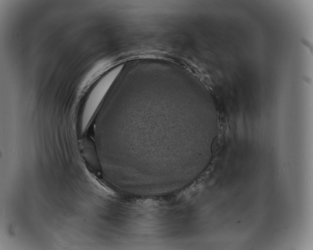 X0000097490197200803071747